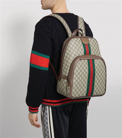 ophidia gucci backpack